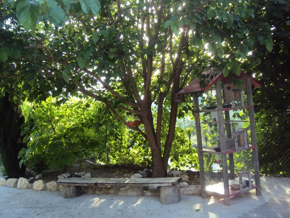Finca Los Prados ラ・イルエラ エクステリア 写真